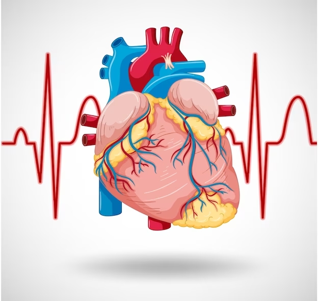 Homeopathy for Cardiovascular Health